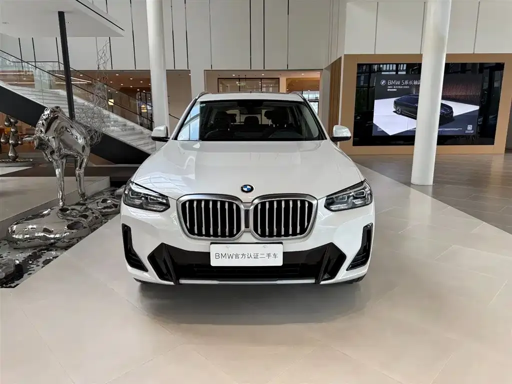 BMW X3 — фото 6