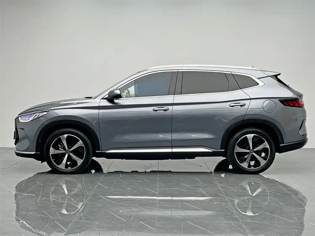 BYD PLUS New Energy — фото 3