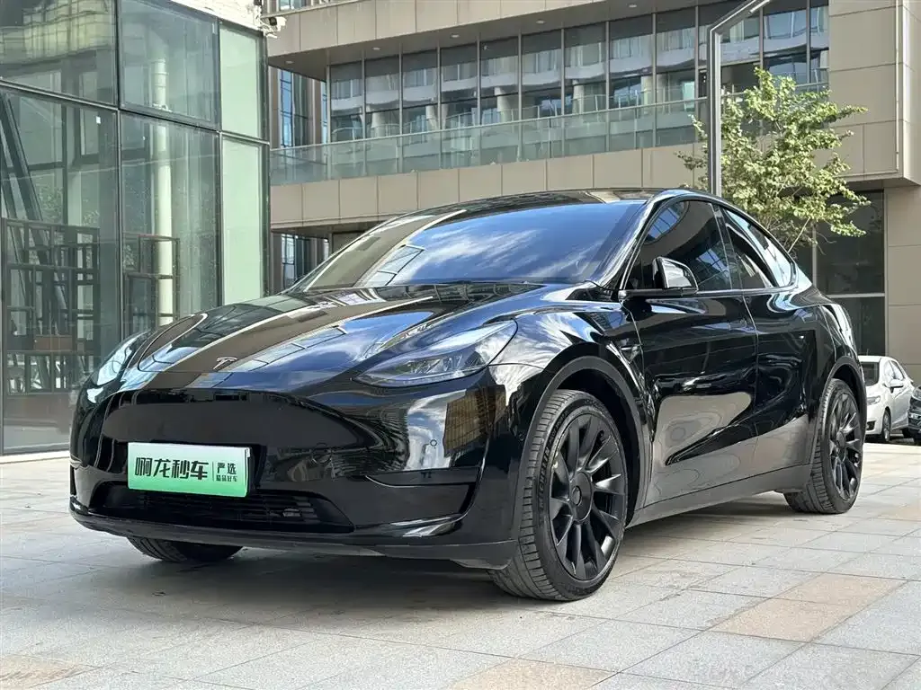 Tesla Model Y — фото 1