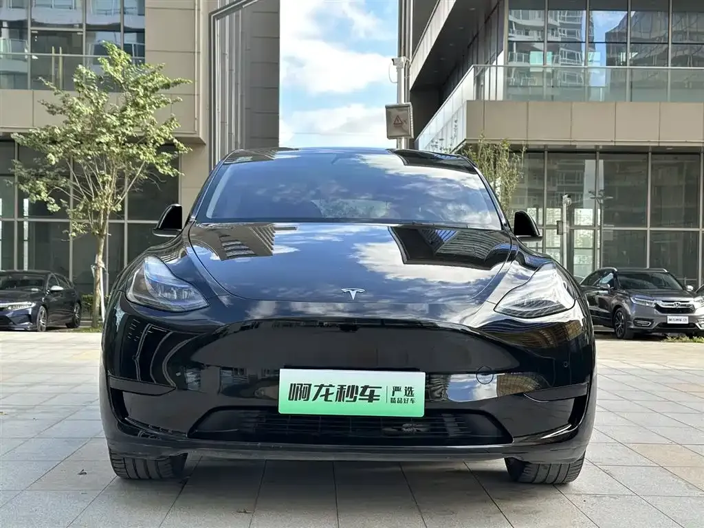 Tesla Model Y — фото 2