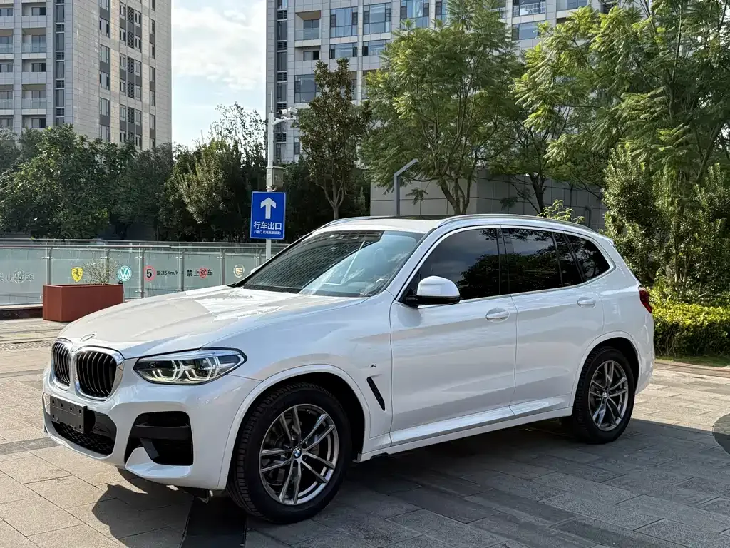 BMW X3 — фото 1