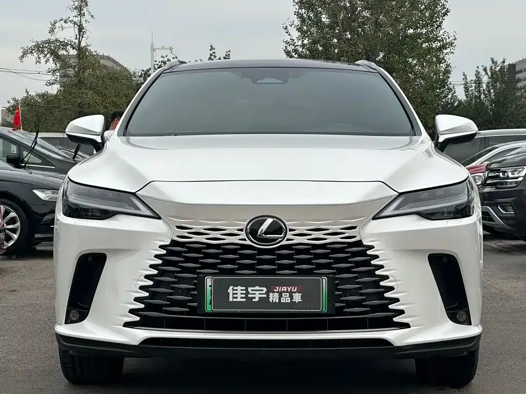 Lexus RX New Energy — фото 2