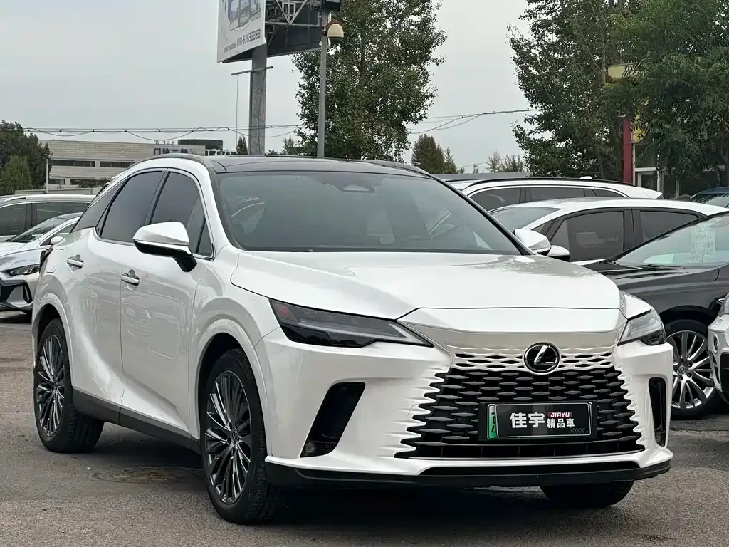 Lexus RX New Energy — фото 3