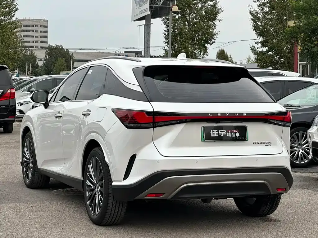 Lexus RX New Energy — фото 6
