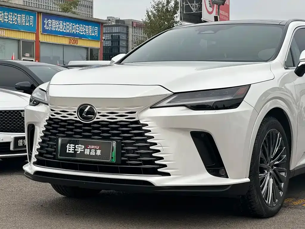 Lexus RX New Energy — фото 7