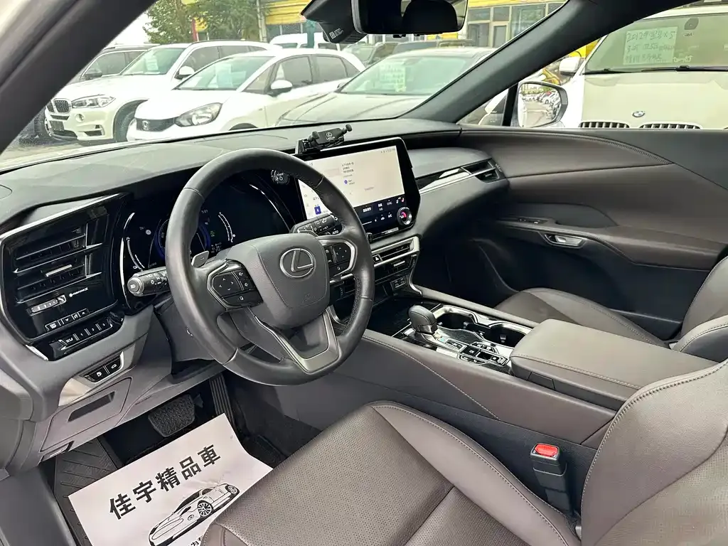 Lexus RX New Energy — фото 9