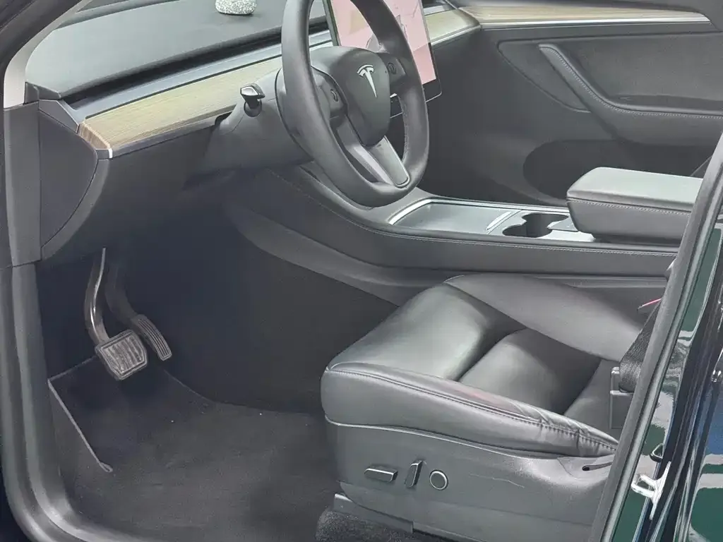 Tesla Model Y — фото 10