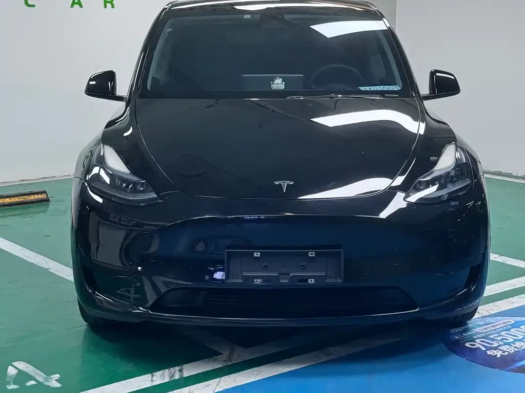 Tesla Model Y — фото 2
