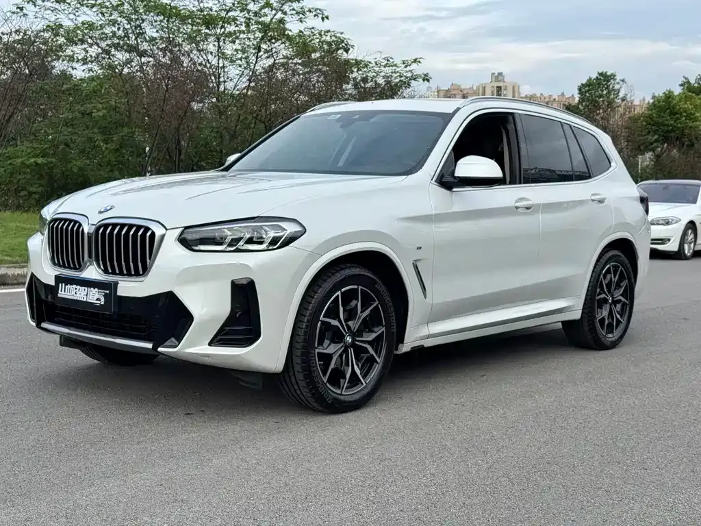 BMW X3 — фото 1