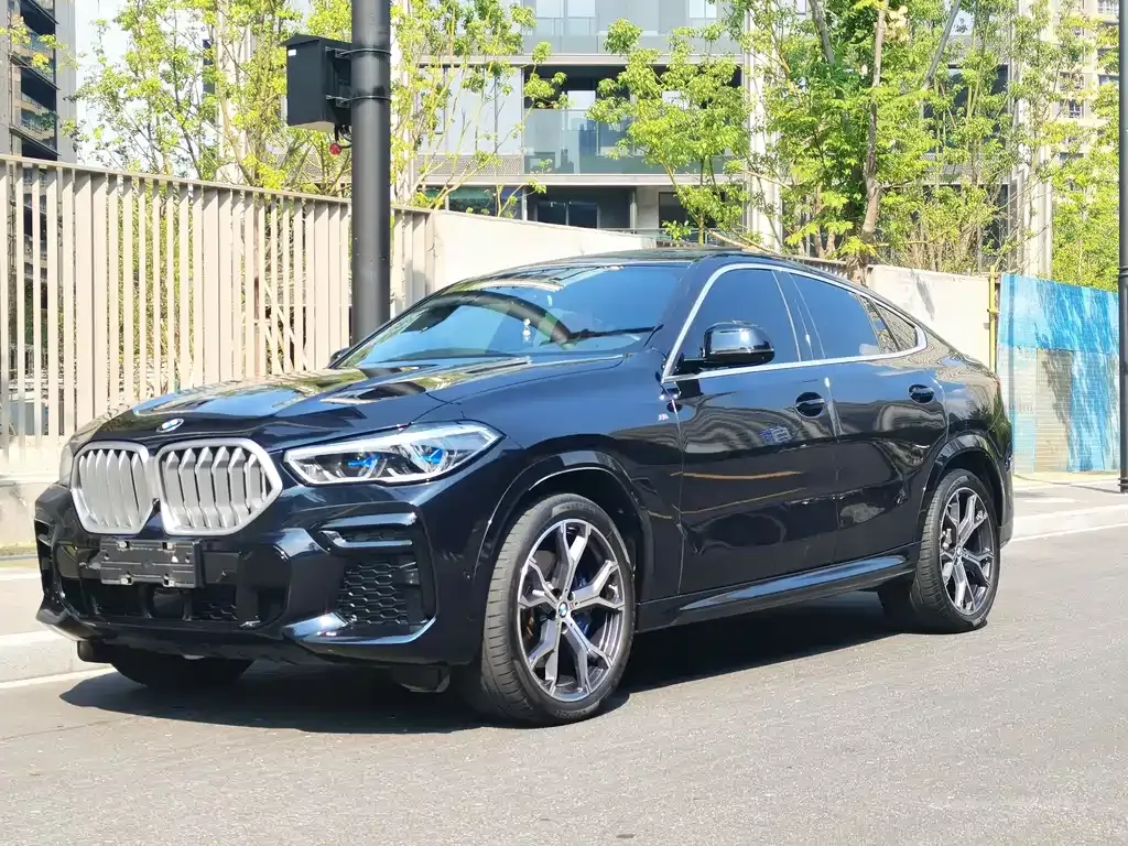 BMW X6 — фото 2