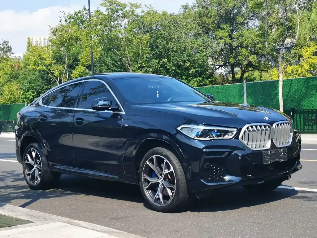 BMW X6 — фото 3