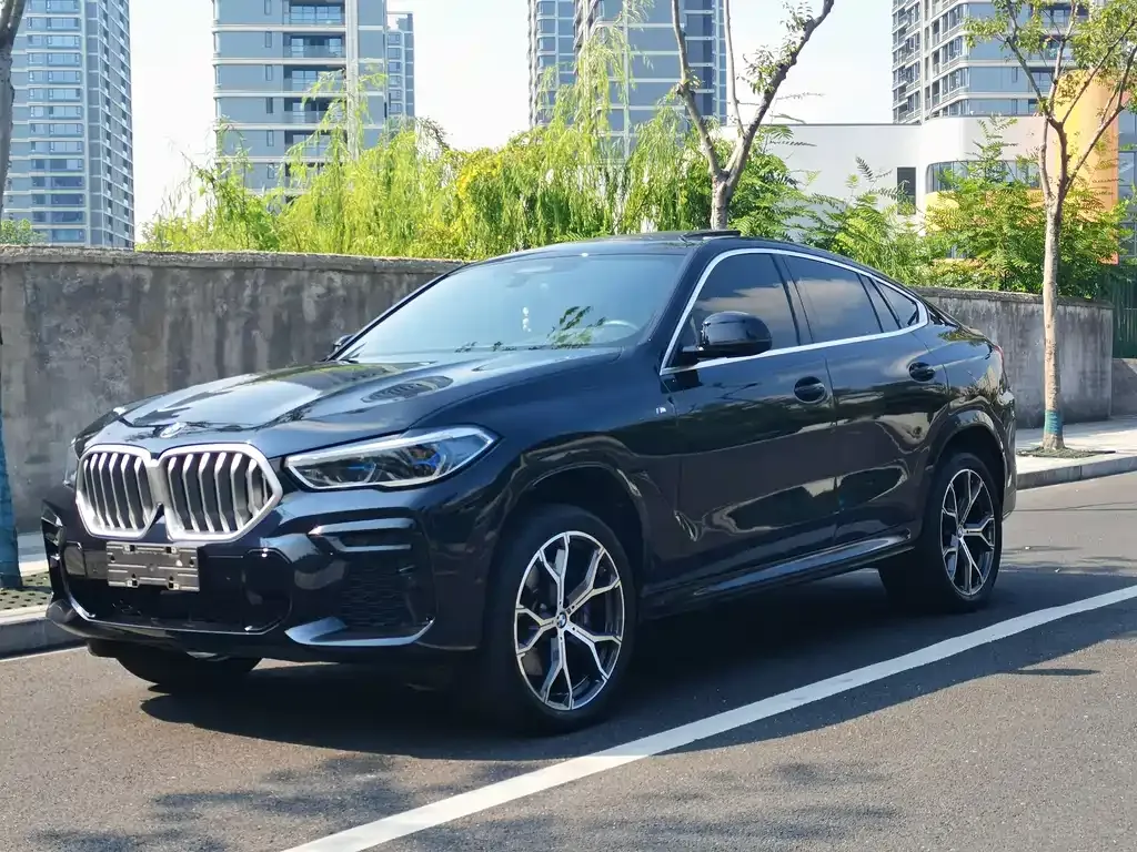 BMW X6 — фото 4