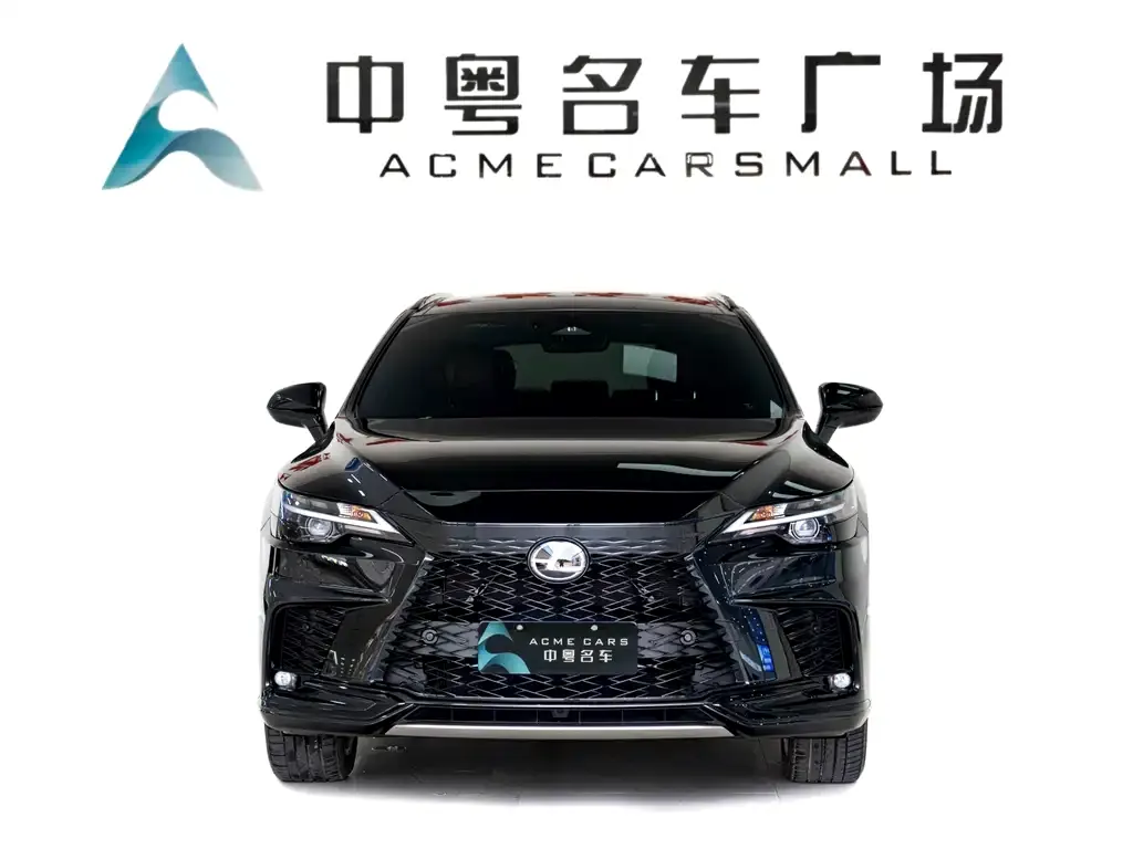 Lexus RX — фото 2