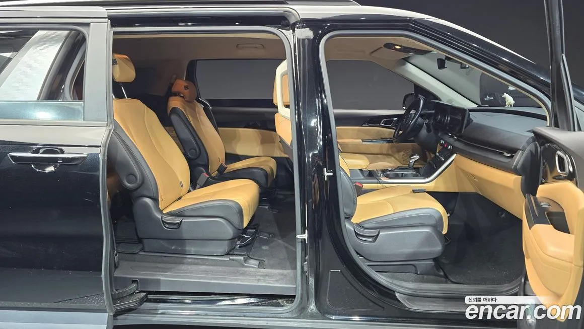 Kia Carnival — фото 10
