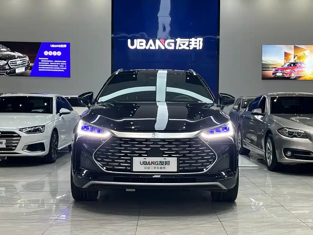 BYD Tang New Energy — фото 2