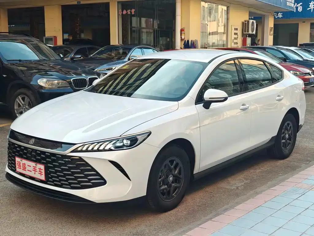 BYD Qin PLUS — фото 1