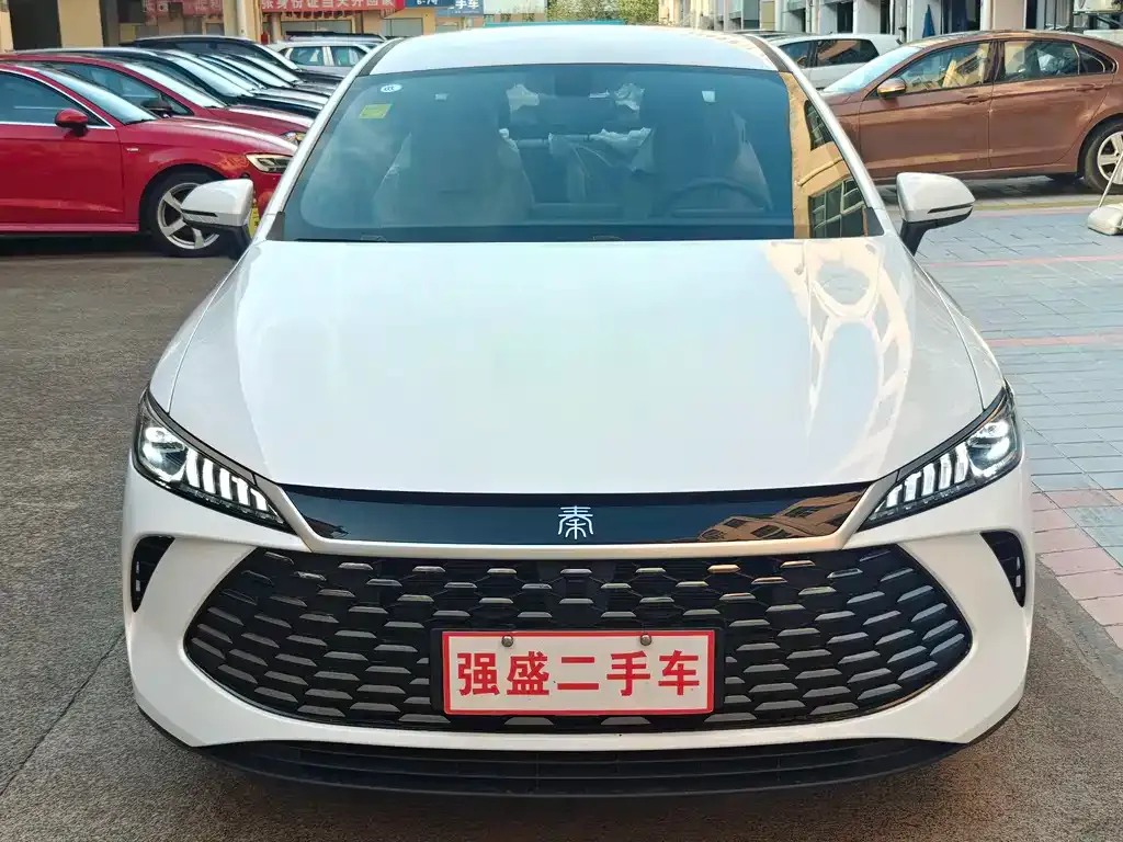BYD Qin PLUS — фото 2