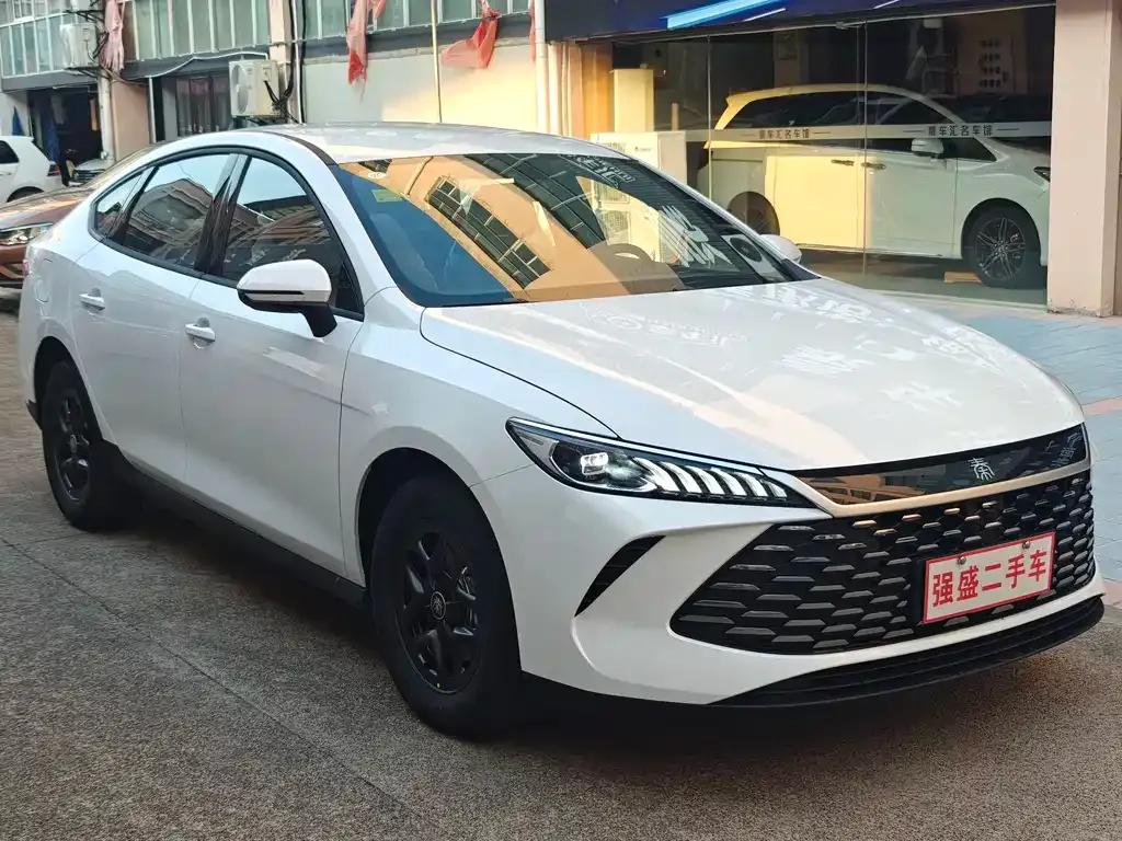 BYD Qin PLUS — фото 3