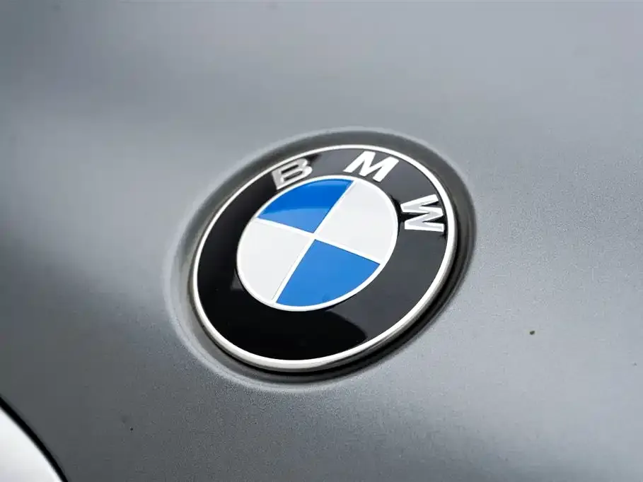 BMW X5 — фото 10