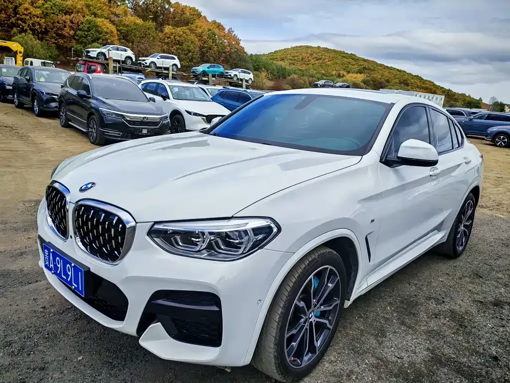 BMW X4 — фото 1