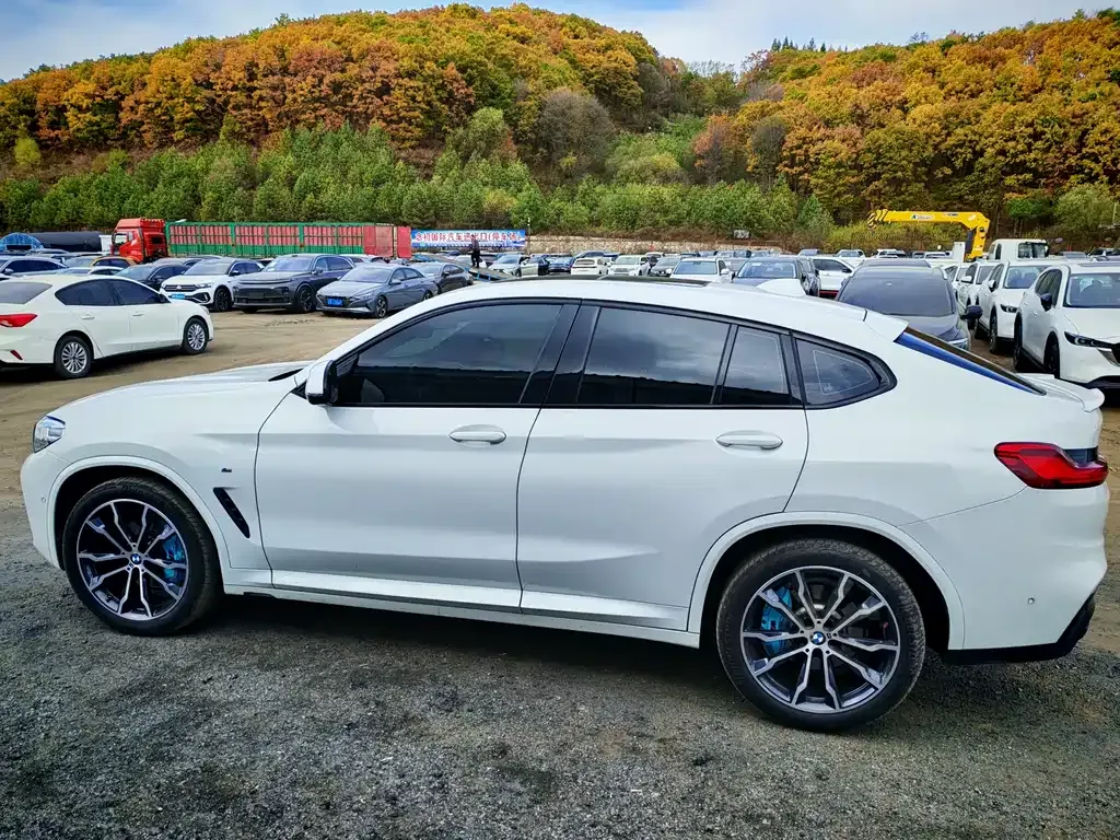 BMW X4 — фото 10