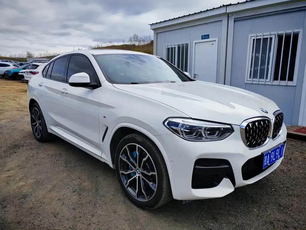 BMW X4 — фото 3