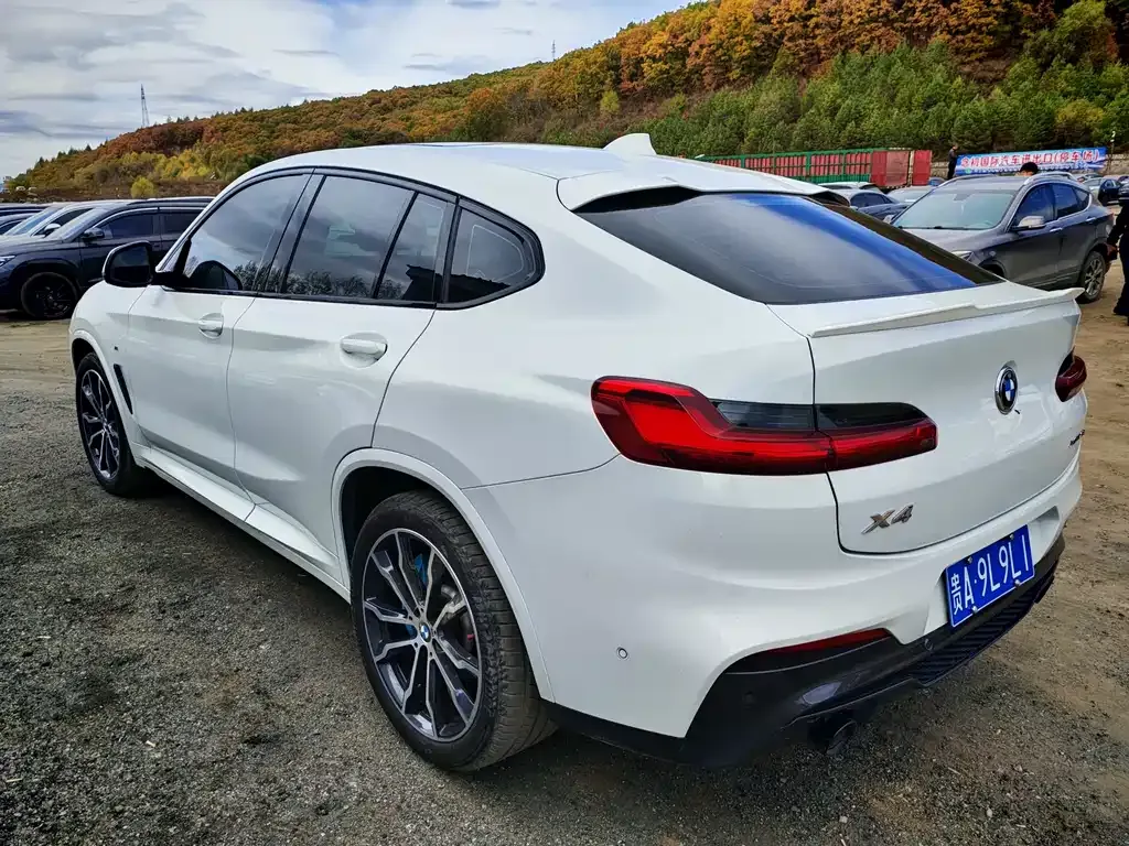 BMW X4 — фото 9