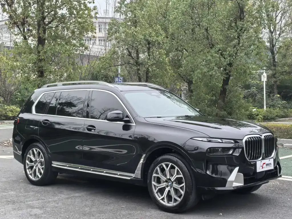 BMW X7 — фото 3