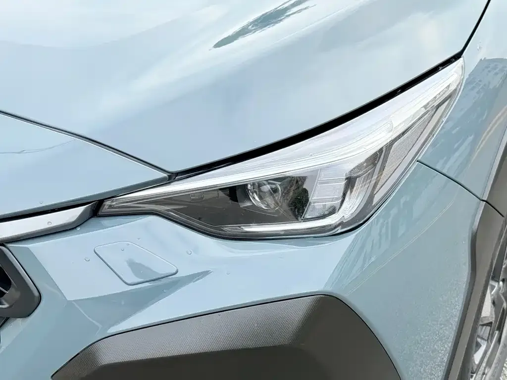 Subaru Crosstrek — фото 9