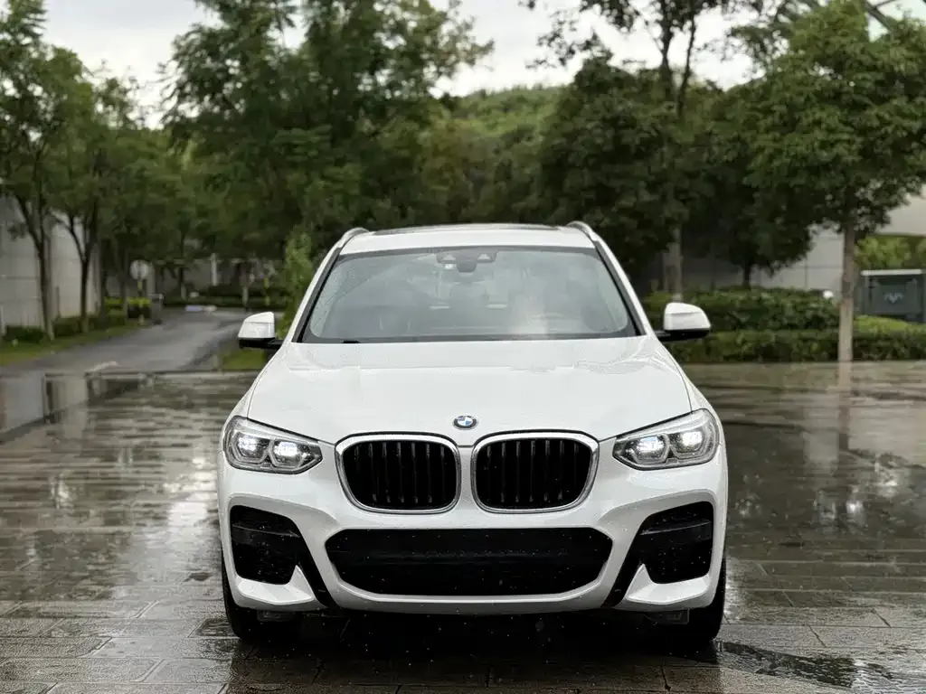 BMW X3 — фото 1