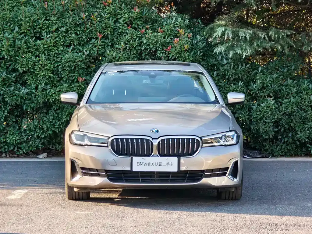 BMW 5 Series New Energy — фото 2