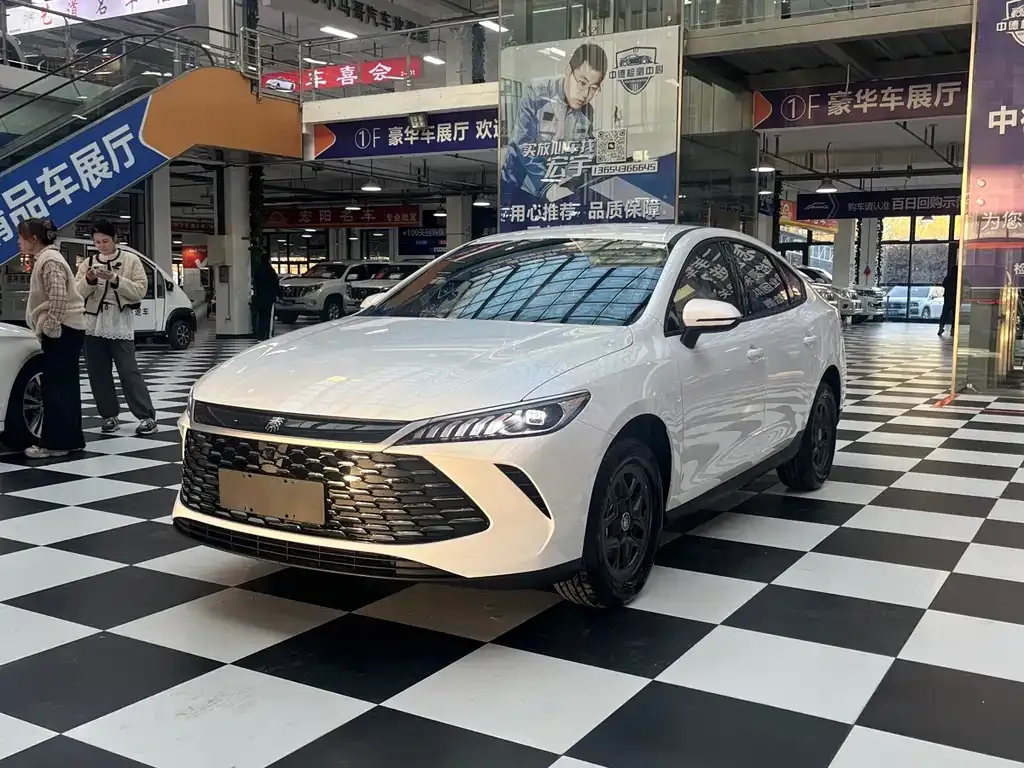 BYD Qin PLUS — фото 1