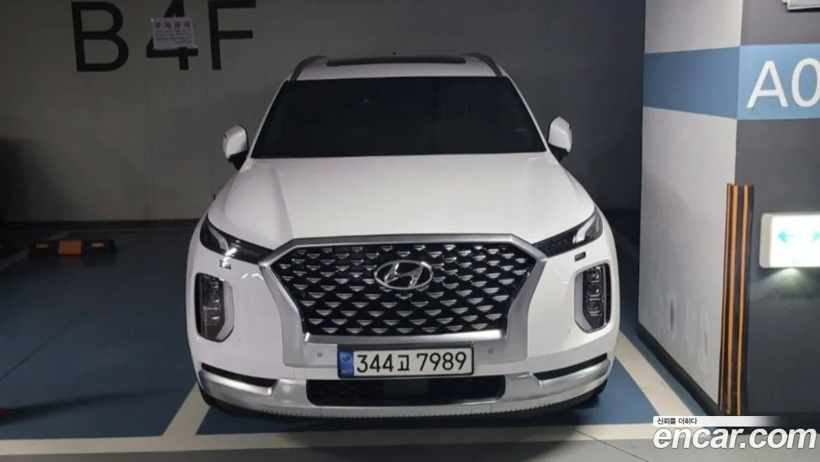 Hyundai Palisade — фото 1