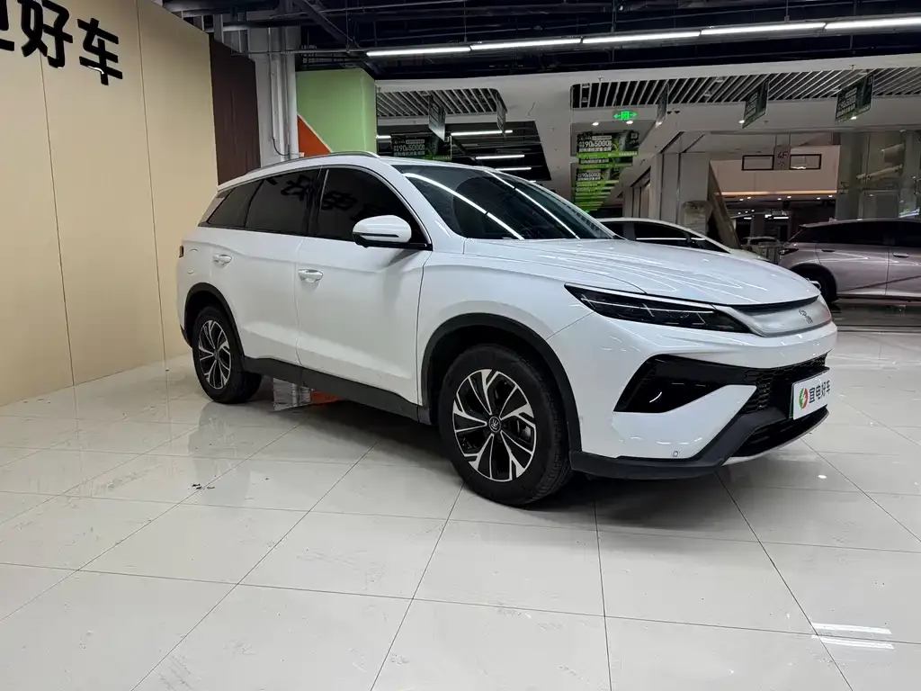 BYD Pro New Energy — фото 3
