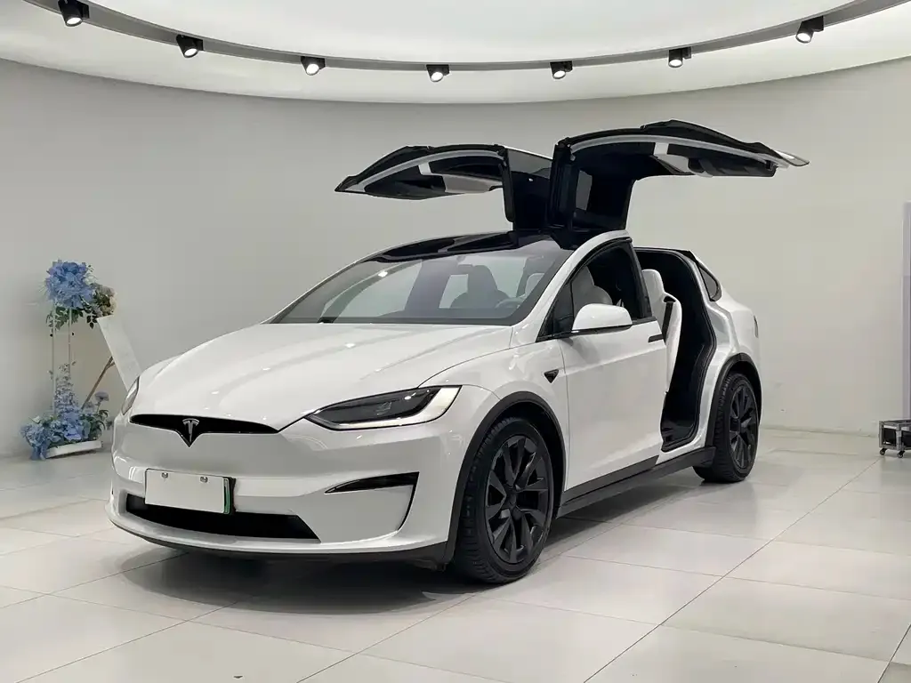Tesla Model X — фото 1