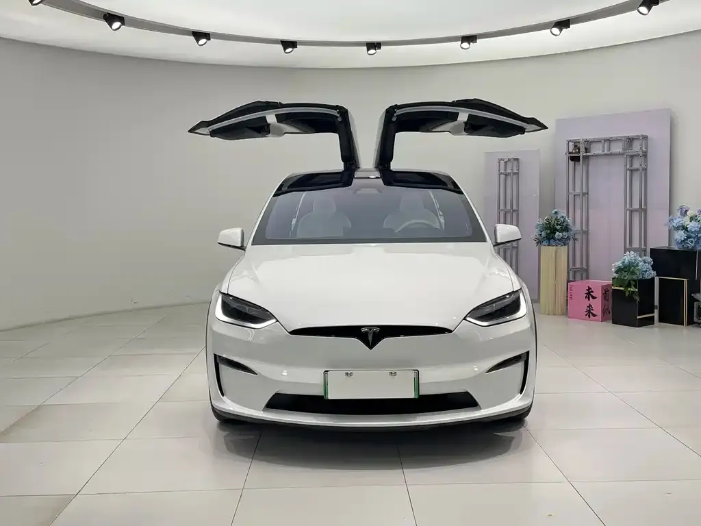 Tesla Model X — фото 2