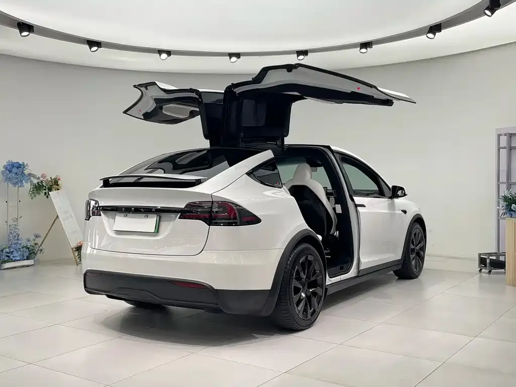 Tesla Model X — фото 4