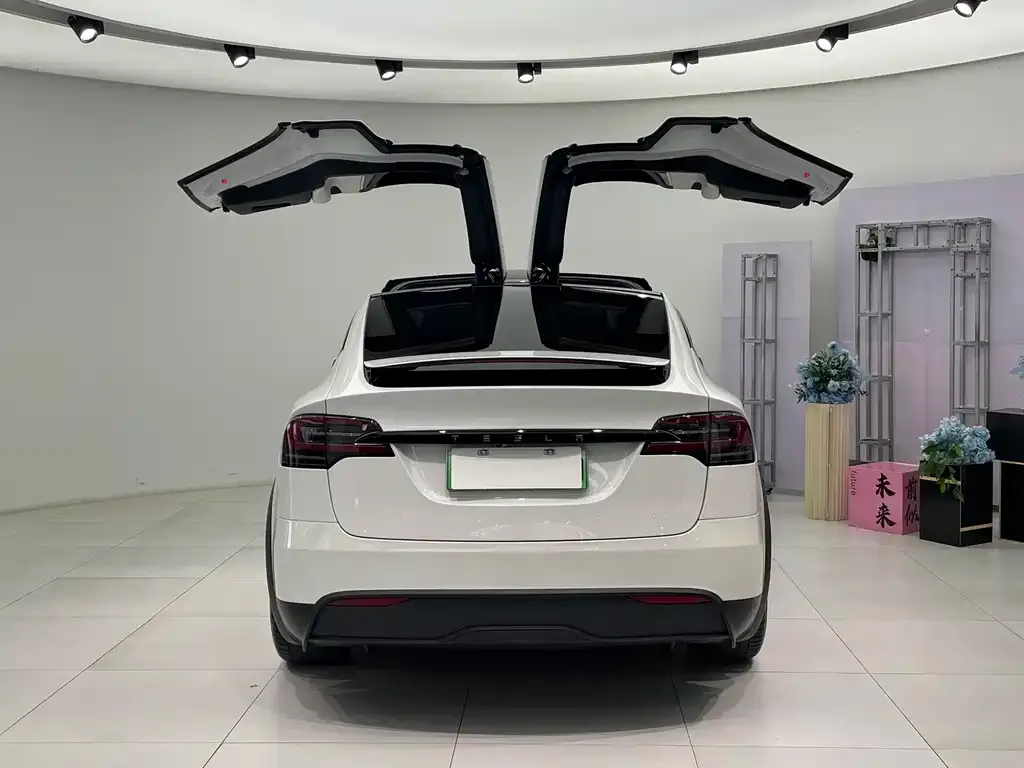 Tesla Model X — фото 5