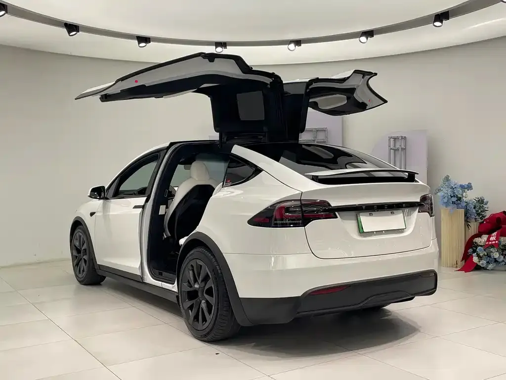 Tesla Model X — фото 6
