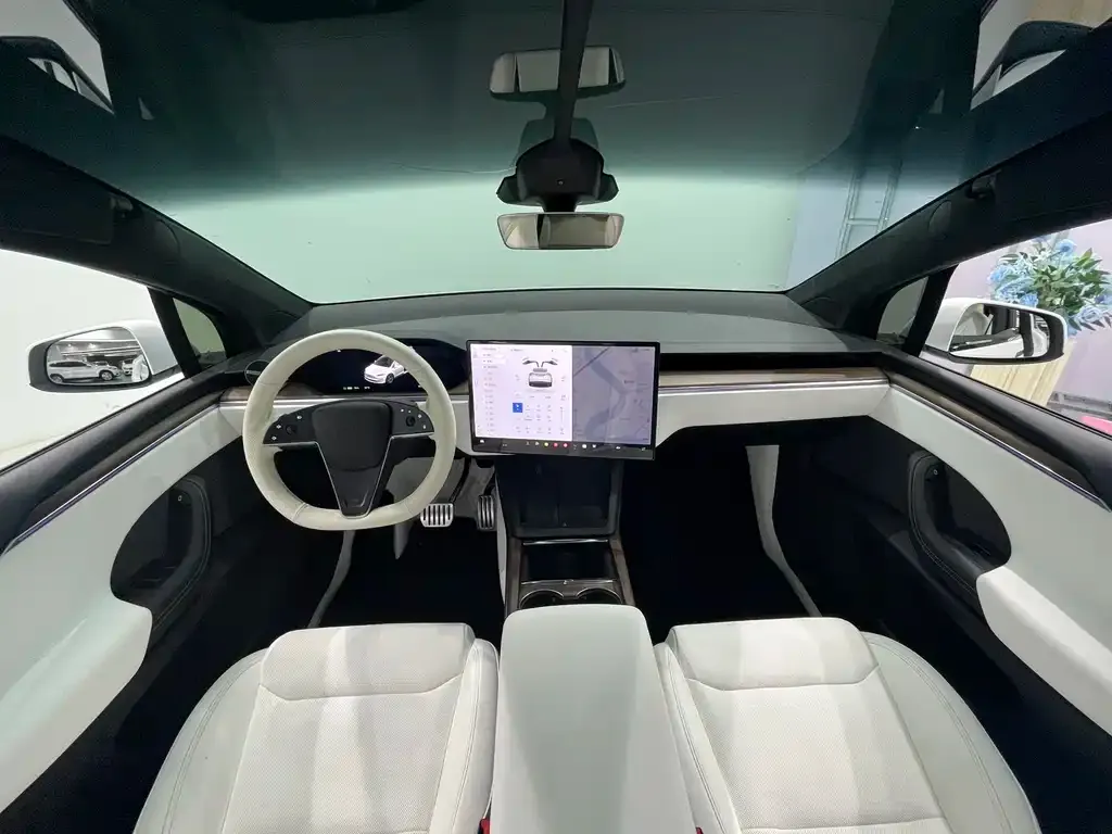 Tesla Model X — фото 8
