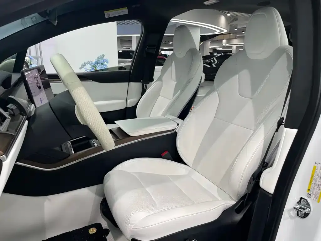 Tesla Model X — фото 9
