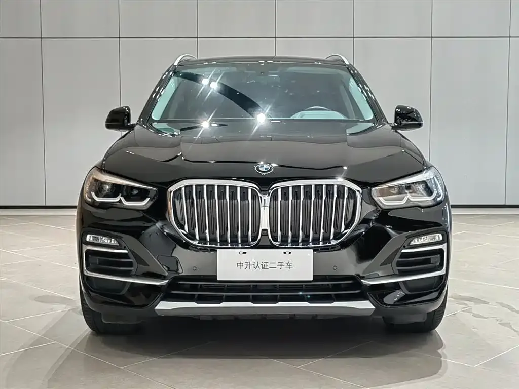 BMW X5 New Energy (Import) — фото 2