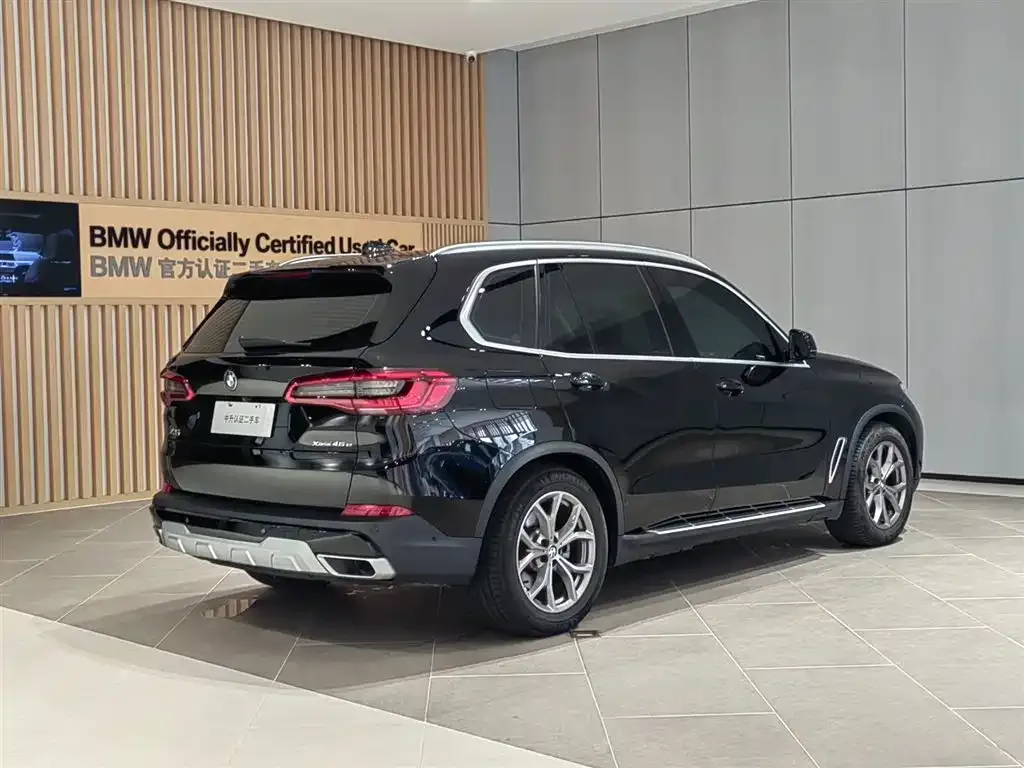 BMW X5 New Energy (Import) — фото 7