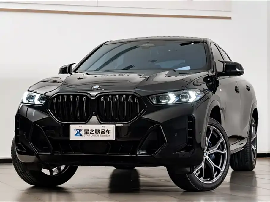 BMW X6 — фото 2