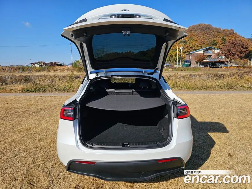 Tesla Model Y — фото 10