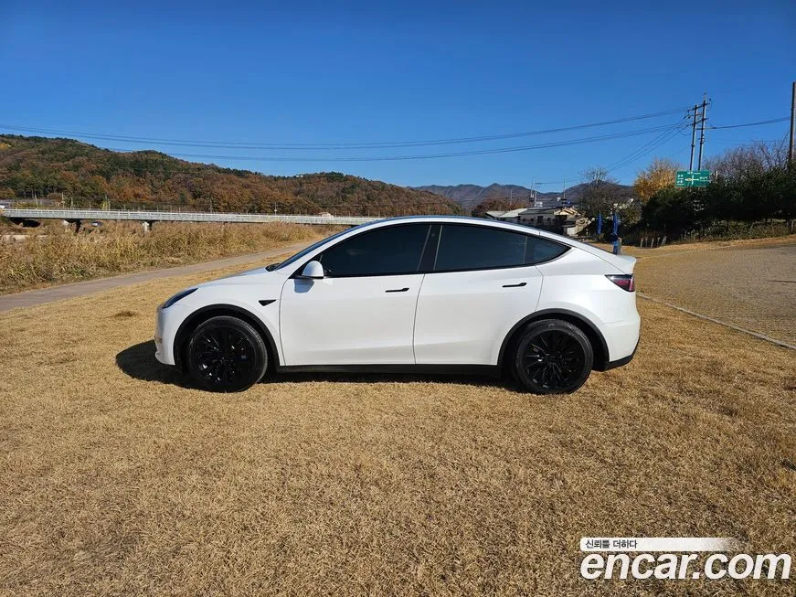 Tesla Model Y — фото 4