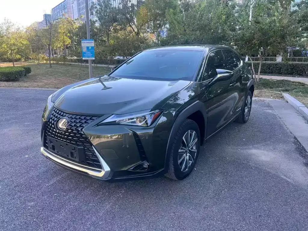 Lexus UX New Energy — фото 1