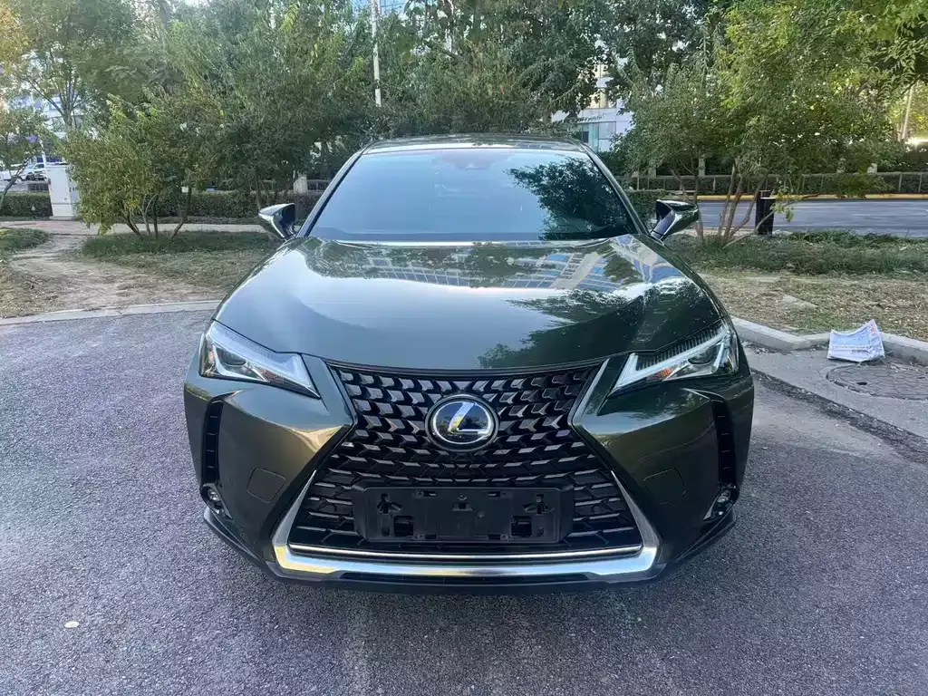 Lexus UX New Energy — фото 2