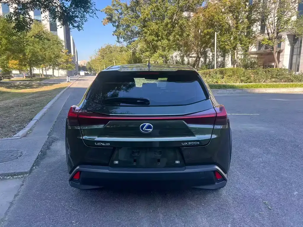 Lexus UX New Energy — фото 4