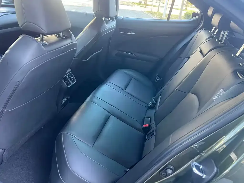 Lexus UX New Energy — фото 6